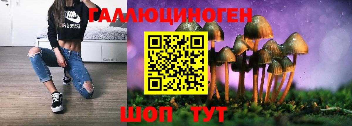 Кунгур  Псилоцибиновые грибы мицелий  Вход с VPN 